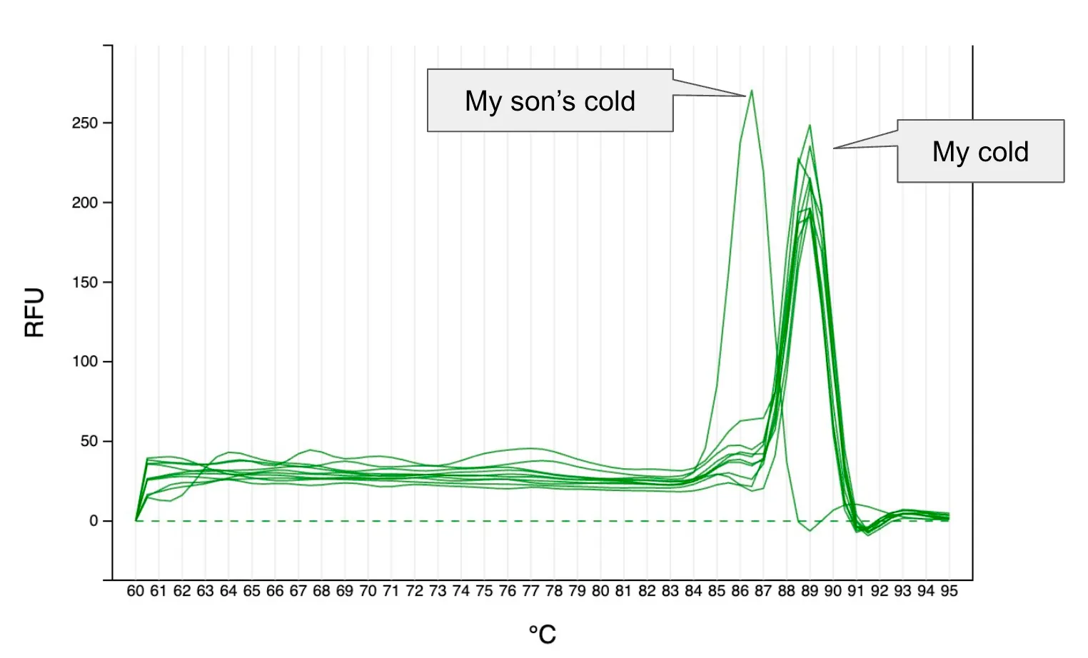 A chart with many lines with temperature on the x-axis and RFU on the y-axis. The line labeled 'My son's cold' shows a spike around 86° and the rest show a spike arouind 89°, labeled 'my cold'.
